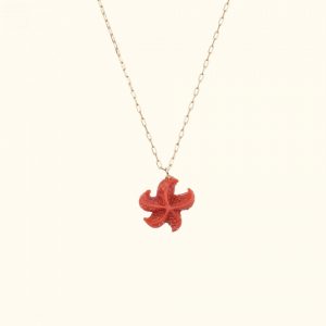 Collier -  Corail Etoile de mer